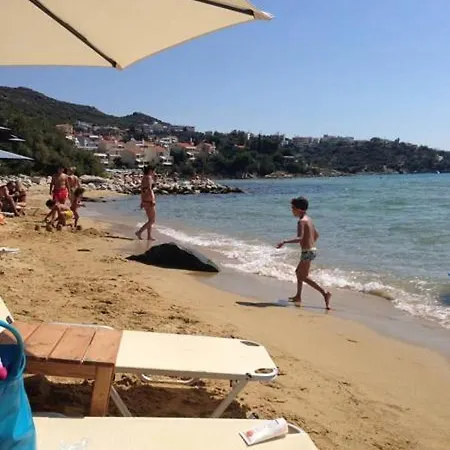 Summer Close To The Beach